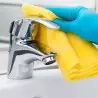 Cutie pentru îngrijirea casei+ CADOU: Un set pentru sufragerie!
