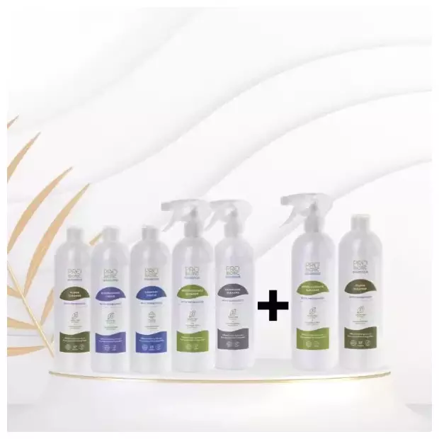 Cutie pentru îngrijirea casei+ CADOU: Un set pentru sufragerie!