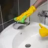 Cutie pentru îngrijirea casei+ CADOU: Un set pentru sufragerie!